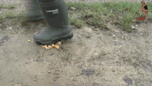 Dunlop Wellies In Action