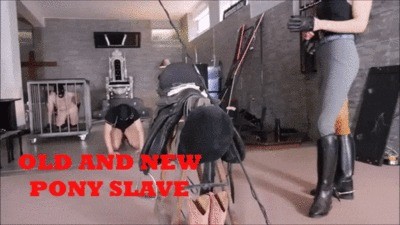 Mistress Gaia – Old And Fresh Pony Slave