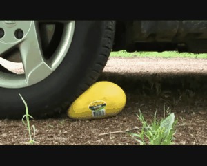 Cantaloupes Under Duster